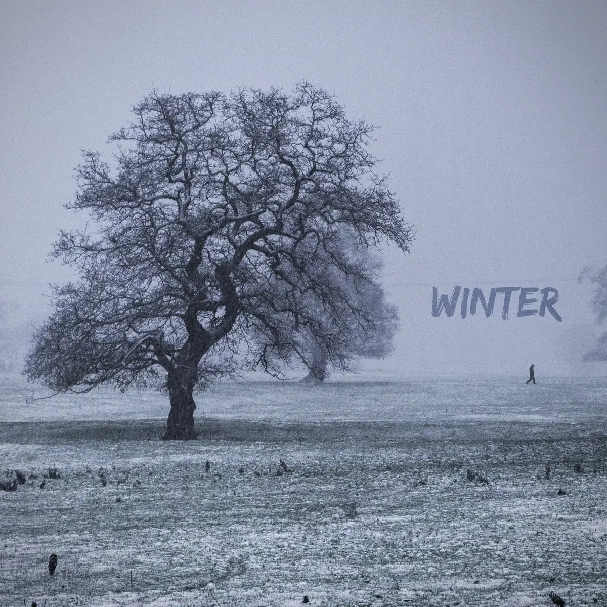 Winter album cover: a bare oak tree in a snowy field with a lone figure walking in the fog.